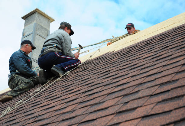 Best Roof Leak Repair  in Russiaville, IN